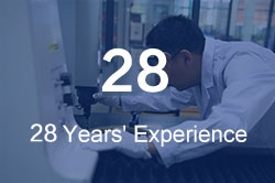 27 Years' Experience