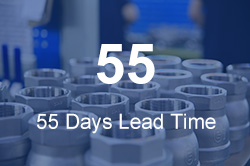 55 Days Lead Time
